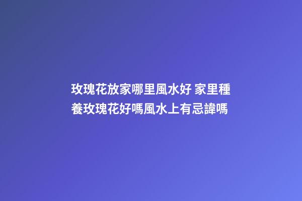 玫瑰花放家哪里風水好 家里種養玫瑰花好嗎風水上有忌諱嗎